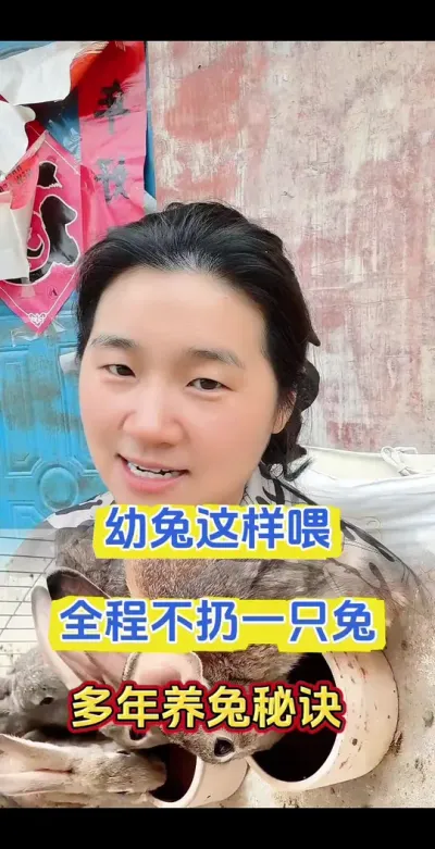 幼兔这样喂，兔子成活率高达9成9.10多年养兔实战秘诀#兔子 #养兔人 #兔子养殖 #肉兔养殖 #养兔技术 份