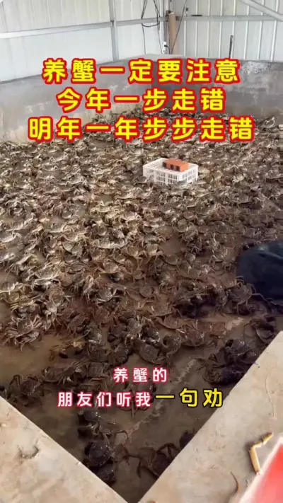 养蟹一定要注意，今年错一步，明年一年步步错。#河蟹养殖 #大闸蟹养殖 #鱼虾蟹养殖 #螃蟹养殖 #三农 @DOU+小助手