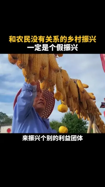 和农民没有关系的乡村振兴一定是个假振兴 #乡村振兴 #农村 #三农 #乡村产业 #乡村振兴dou行动