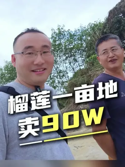 你知道榴莲一亩地能卖多少钱？看完惊呆了#榴莲种植 #高品质水果 #农业种植