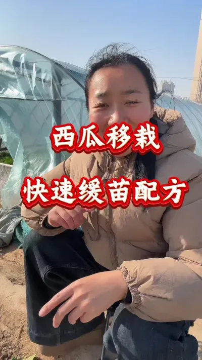 西瓜种植 西瓜快速缓苗水的配方#西瓜种植 #西瓜管理 #西瓜缓苗