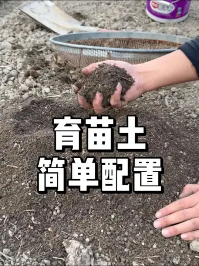 种菜育苗土怎么制作，蓬松不板结 #农业种植 #种植 #三农 #种菜