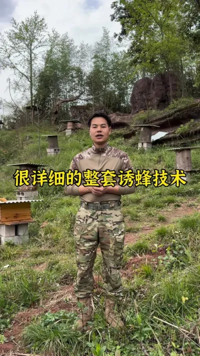 详细的诱蜂四个技巧，需要诱蜂的朋友可以保存起来#诱蜂 #养蜂 #养蜂技术 @抖音小助手