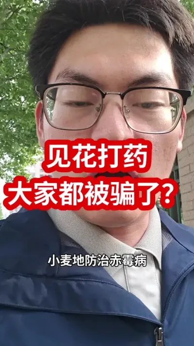 #抖音助农 #三农 #分享农业知识帮农民增产增收 #小麦种植  #小麦赤霉病 小麦第二遍药什么时候打，见花打药对不对？