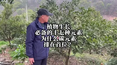 植物生长离不开碳元素，为什么植物需求碳元素拍首位？#肥料 #植物营养 #来抖音学农技 #田间地头实操干货