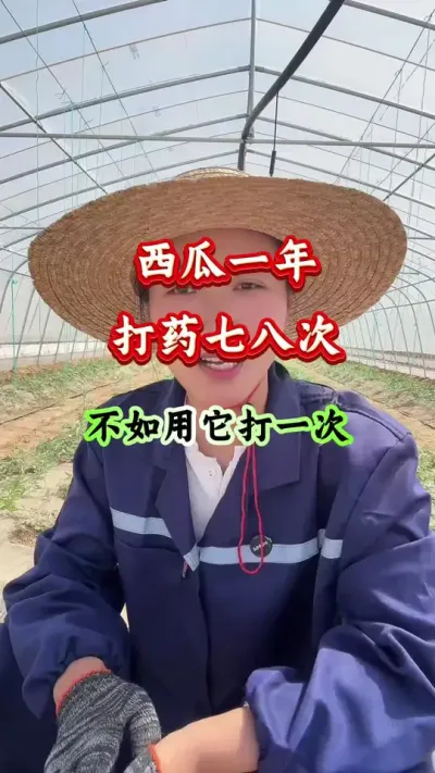西瓜种植 西瓜一年打药七八次不如用它打一次 #西瓜管理 #西瓜种植 #西瓜高产 #病害防治