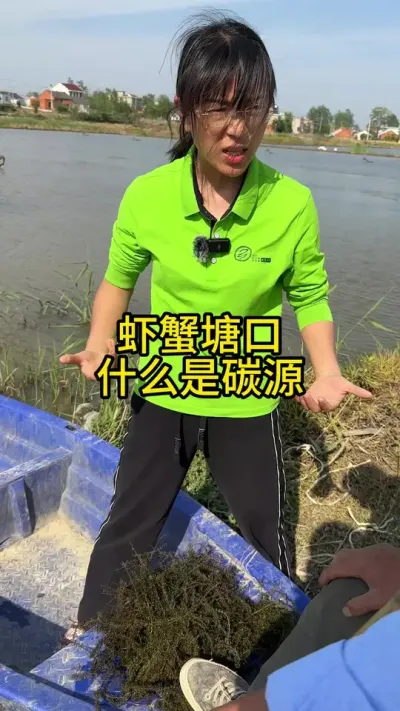 虾蟹塘口，碳源是什么！！！ #渔多多养殖模式 #新农人计划2025 #螃蟹养殖 #水产养殖技术 #大闸蟹养殖