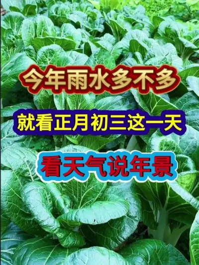 今年雨水多不多就看正月初三这一天看天气说年景 #农业谚语 #农业种植 #谚语分享 #三农 #分享农业知识帮农民增产增收