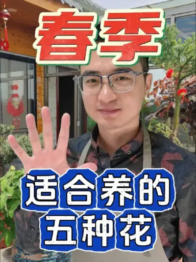 春季适合养的五种花，你家里有吗?#养花 #花卉绿植 #养花小知识