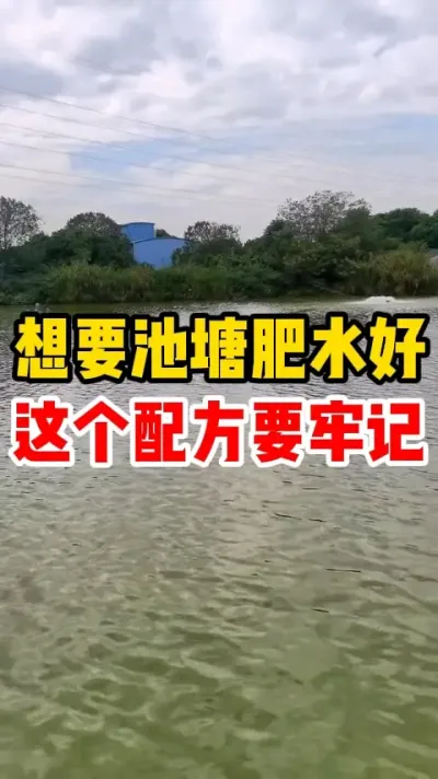 想要池塘肥水好这个配方要牢记 #养鱼日记 #水产养殖 #养鱼人 #养鱼 #养殖基地