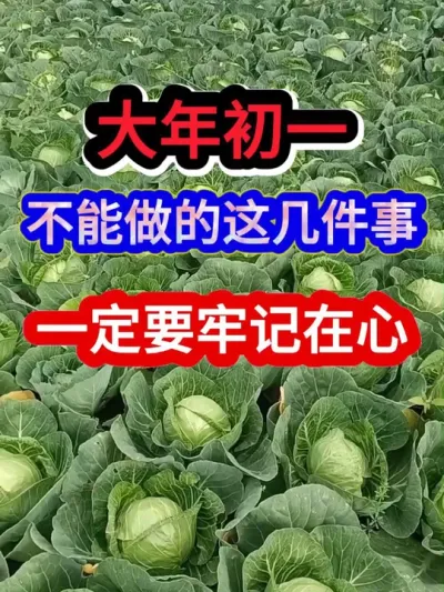 大年初一千万不能做的这几件事一定要牢记在心 #春节 #传播农业小知识 #三农 #农业种植 #抖音助农
