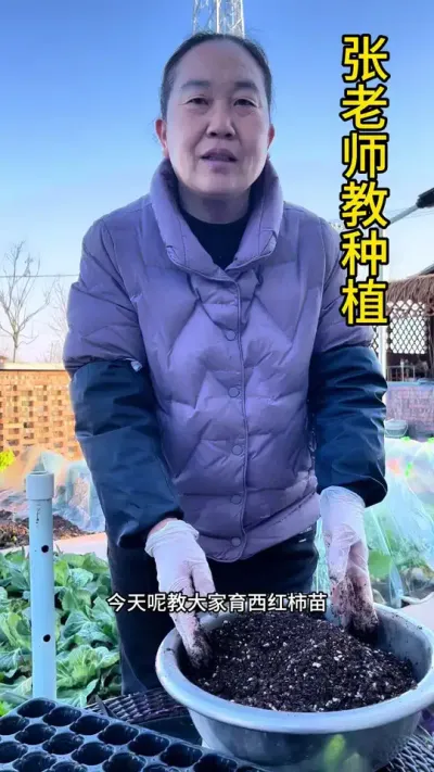 辣椒茄子西红柿可以开始育苗了#每天分享蔬菜种植技巧 #关注我每天分享种植知识 #农业种植技术 #关注我一起学种菜 #育苗播种
