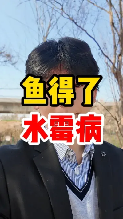 鱼得了水霉病 #鱼 #养鱼