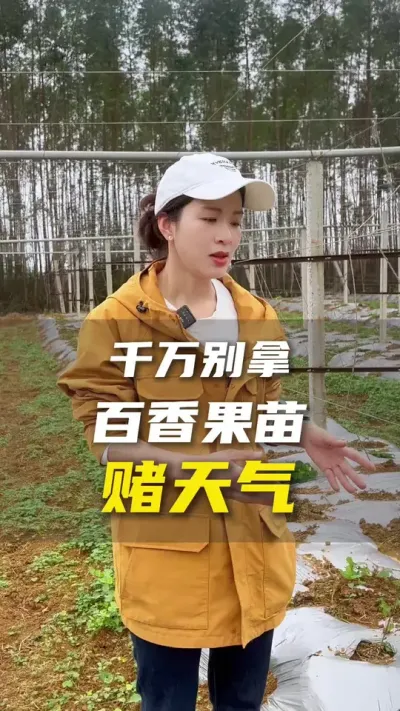 我这里又转冷了！还有强对流天气！你们那呢？希望我地里的苗木一切安好。大家一定要警惕倒春寒！#百香果#百香果种植技术#三农