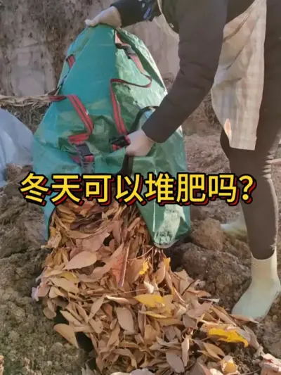 冬天堆肥春天收获土 很多人担心冬天不可以堆肥，其实冬天很堆肥，落叶、红薯藤，厨余都可以堆肥养地#种植小技巧 #堆肥 #我爱种菜 #自制营养土 #阳台种菜