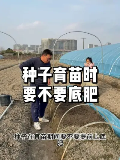 种子育苗时需要上底肥吗？ #农业种植 #种植 #三农 #种菜