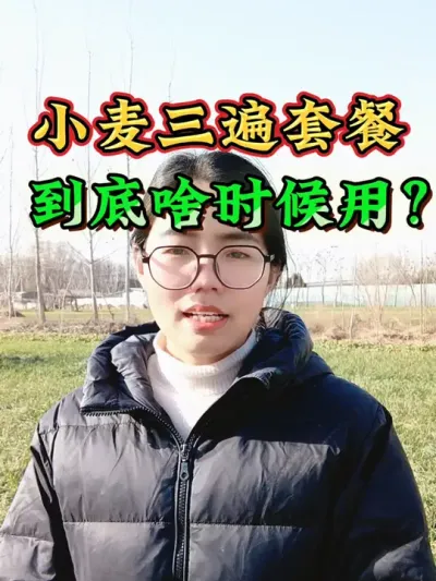 小麦一喷三防三遍高产套餐，在什么时候用合适呢？小麦三遍套餐一定要在小麦这三个时期用#小麦种植 #小麦一喷三防 #小麦增产 #农业 #三农