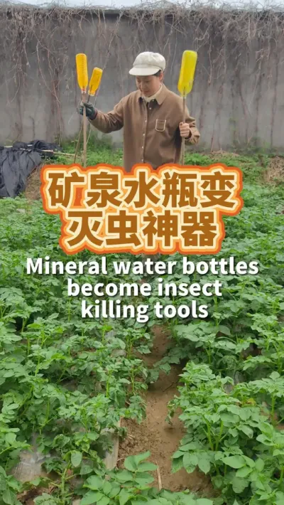 矿泉水瓶变灭虫神器 把地里的菜苗保护好，自己在家实现有机菜自由#种植小技巧 #病虫害防治 #我爱种菜 #阳台种菜 #生物防治