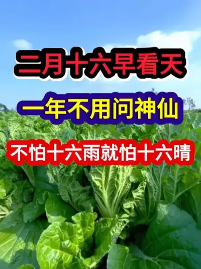 二月十六早看天一年不用问神仙不怕十六雨就怕十六晴 #农业谚语 #谚语分享 #农业种植 #三农 #分享农业知识帮农民增产增收