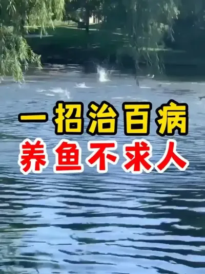 一招让你养鱼不求人 #水产养殖 #四大家鱼养殖 #养鱼 #养殖 #农村