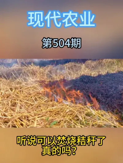 听说可以焚烧秸秆了，是真的吗 #农业 #秸秆 #三农