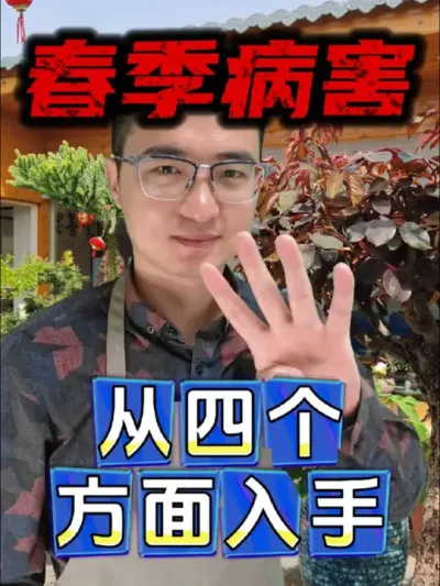 春季花卉绿植生病害，要从四个方面入手！#养花 #花卉绿植 #病虫害防治