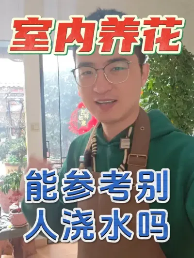 室内养花如何正确浇水，才不会闷根烂根！ #养花  #浇水  #花卉绿植
