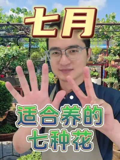 七月适合养哪些花呢？给大家推荐七种！ #养花  #花卉绿植  #养花小知识