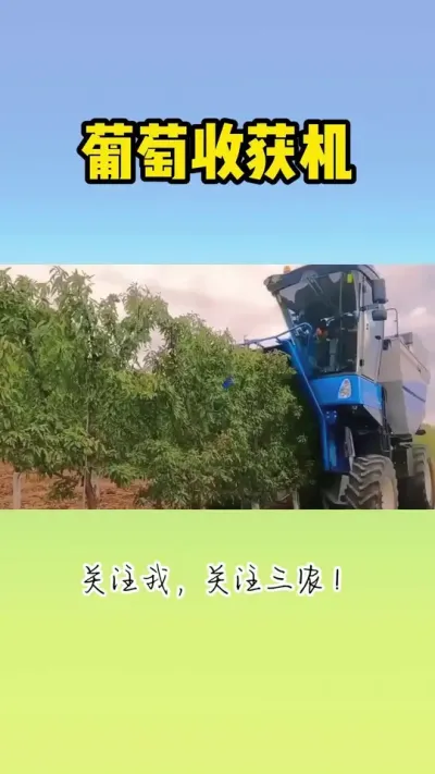 葡萄收获机 #葡萄收获机 #葡萄种植 #葡萄园