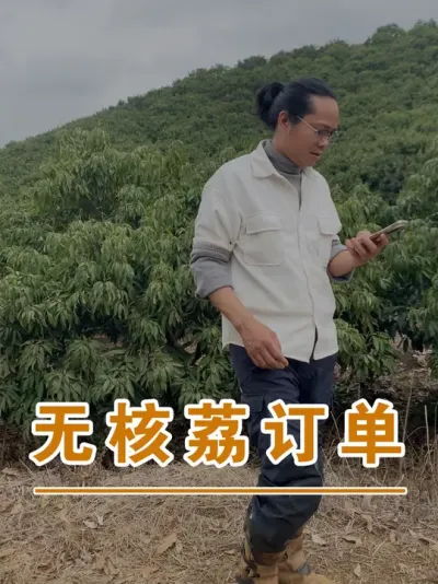 客户提前预定了20吨无核荔#广西灵山荔枝果苗#农业创业#抖音新农人计划2025#吕老师种果苗