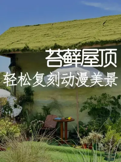打造宫崎骏同款场景其实很简单！ #小院改造 #设计 #氛围感 #网红打卡地 #天雅设计