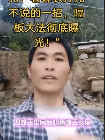 #内容启发搜索 #谌蜜 ，#养蜂#养蜂技术分享**🐝蜂王多到用不完！老蜂农打死不说的一招，隔板大法彻底曝光！**  @抖音小助手 @DOU+小助手