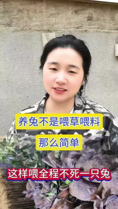 小兔不是简单的喂草喂料那么简单，学会这样喂，全程不死一只兔子#科学养兔 #养兔 #养兔人 #兔子养殖 #散养兔