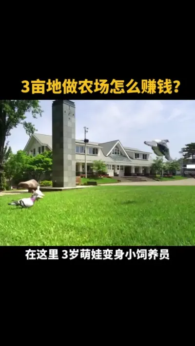 3亩地做农场怎么赚钱？ #农场 #乡村振兴 #乡村产业 #三农 #亲子