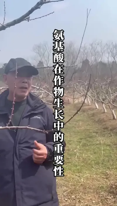 种植果树，也要重视氨基酸作用！ #果树种植 #氨基酸 #组氨酸 #种果树的苏老师