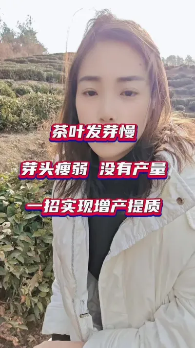 #茶是春天的仪式感 茶树种植技术与管理#茶树管理技术与指导