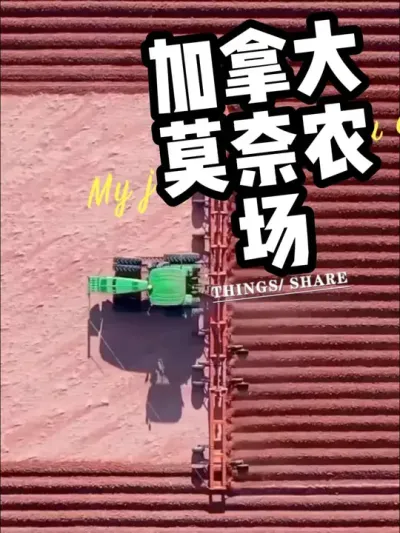 加拿大莫奈农场 #大农场 #大农业 #现代化农业 #现代农业机械 #农机视频 @抖音小助手
