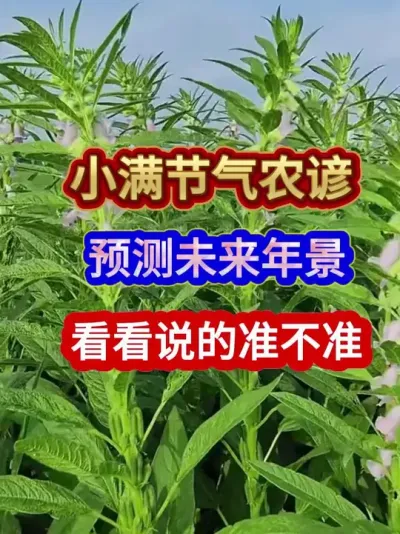 小满节气农谚预测未来年景看看说的准不准 #小满节气 #农业谚语 #农谚 #农业种植 #三农种植