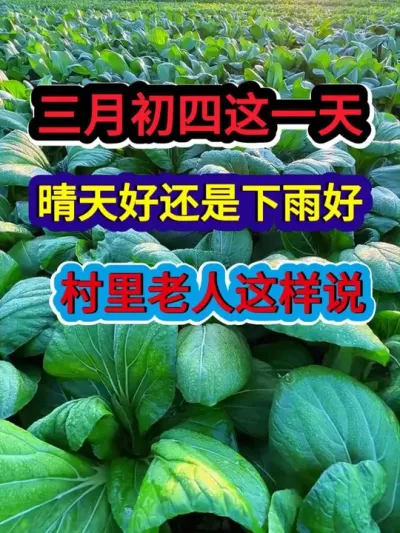 三月初四这一天是晴天还是下雨好村里老人是这样说的 #农业种植 #种植小技巧 #服务三农支持三农 #农业谚语 #农谚