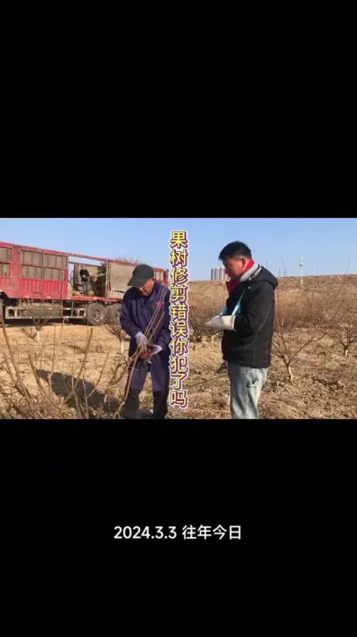 果树修剪非常容易犯错！果园实地讲解！一定要看！#果树管理 #果树修剪 #农业种植 #种果树的苏老师