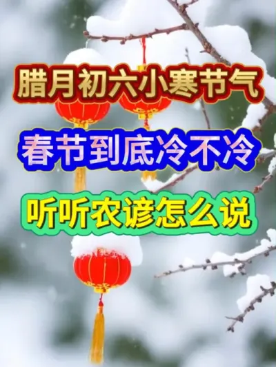 腊月初六小寒节气春节到底冷不冷听听农谚怎么说 #小寒节气 #农业种植 #农业谚语 #农谚 #分享农业知识帮农民增产增收
