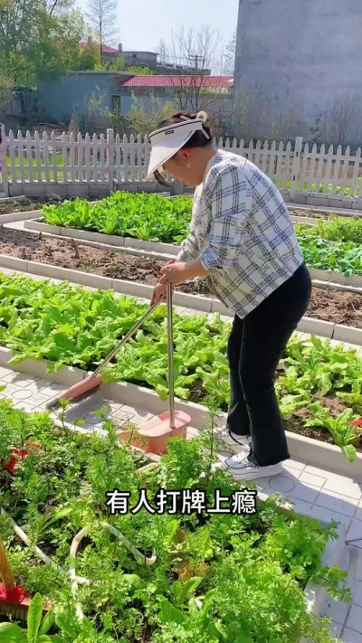 #我的乡村生活 #抖音新农人 #乡村田园生活 #绿色蔬菜