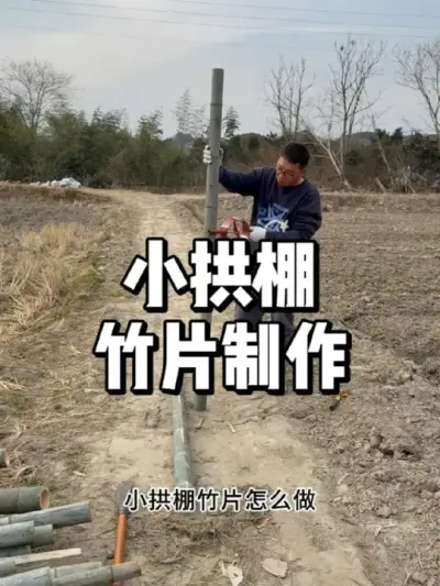 搭小拱棚竹片怎么制作，育苗必备工具 #农业种植 #三农 #种植 #种菜