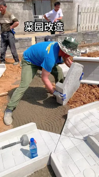 #我的乡村生活 #我的小菜园 #乡村振兴 #我的乡村生活 #农村生活