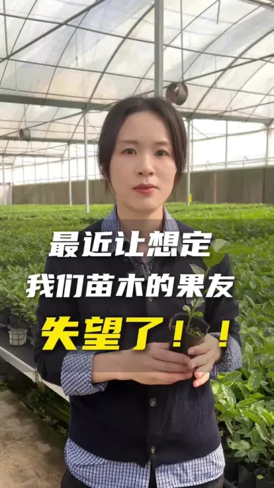 巧妇难为无米之炊，各位果友们，大家一定要提前做好计划，我们也会尽可能提高产能。#农业种植 #百香果 #优质种苗