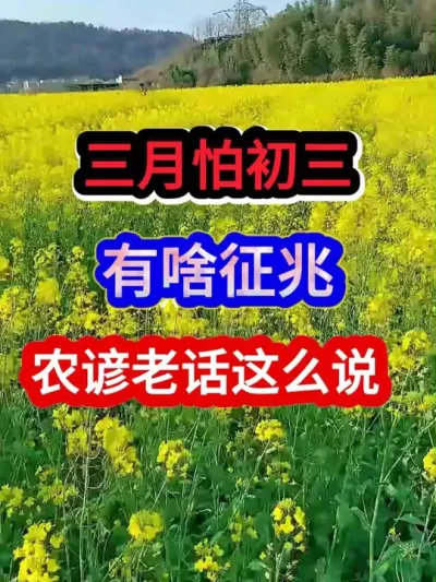 三月怕初三有啥征兆呢农谚老话这么说 #农业谚语 #农谚 #农业种植 #抖音助农 #谚语