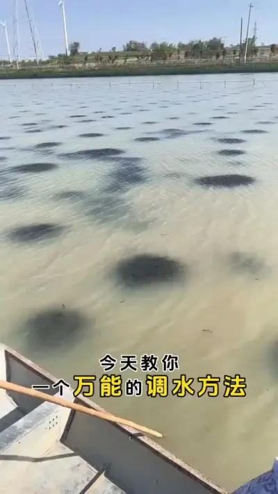 今天就教你一个万能的调水方法，适用于各种水质。#三农 #螃蟹养殖 #鱼虾蟹养殖 #河蟹养殖 #粪净肽 @DOU+小助手