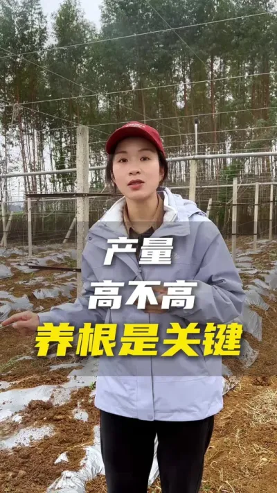 生根，养根，护根到底是什么？#百香果#百香果种植技术#抖音助农