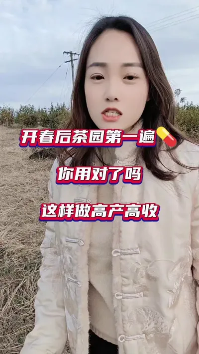 #开春后茶园的正确管理方法#茶树种植技术与管理 #春茶采摘