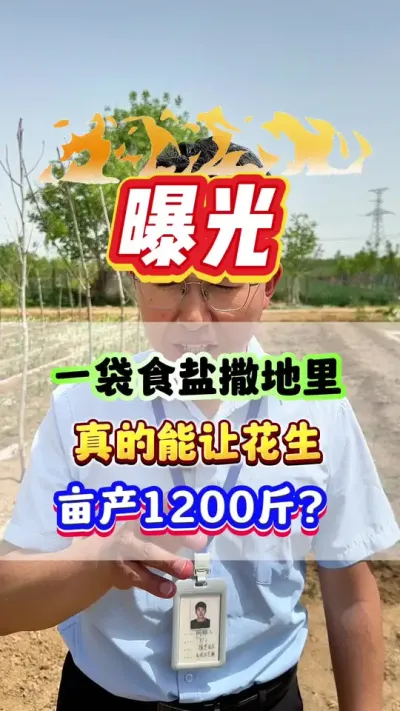 一袋食盐撒地里，真的能让花生亩产1200斤？#花生种植  #花生高产  #花生种植管理技术  #增产增收